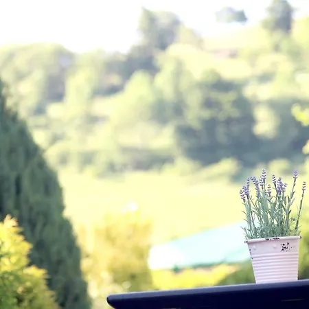 Harry's * ヴィリンゲン