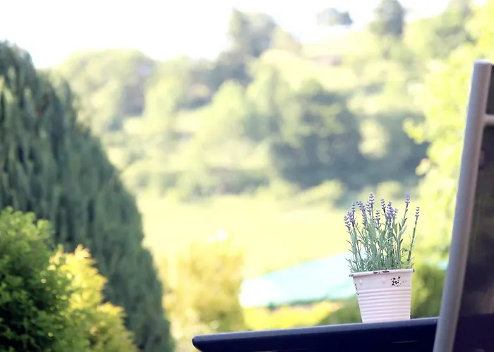 Harry's * Willingen (Upland)